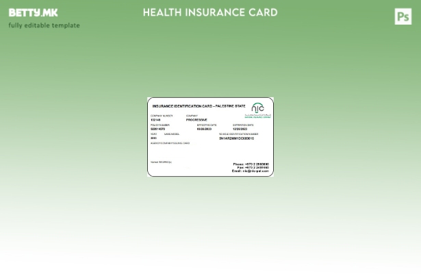 Модерен стил Шаблон за картичка за здравствено осигурување на Палестина